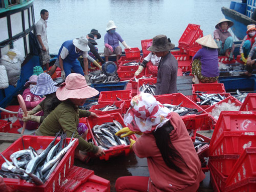 Miền Trung cần phát huy, khai thác lợi thế kinh tế biển 